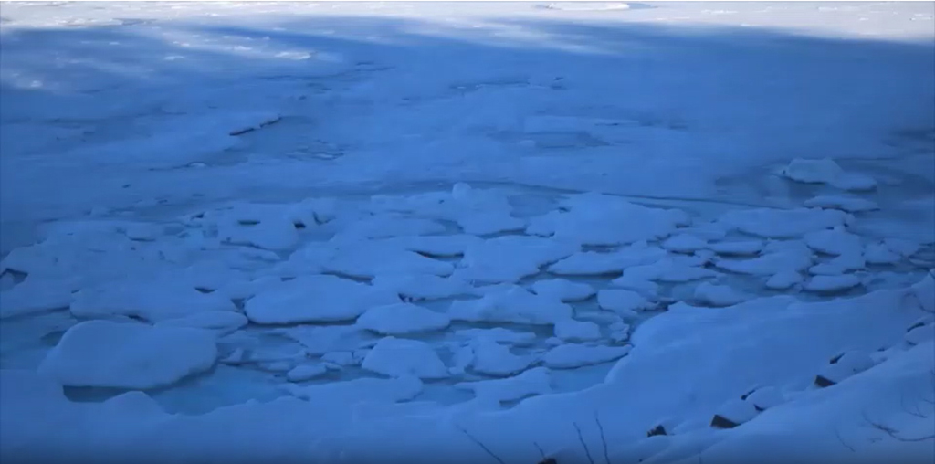接岸する流氷